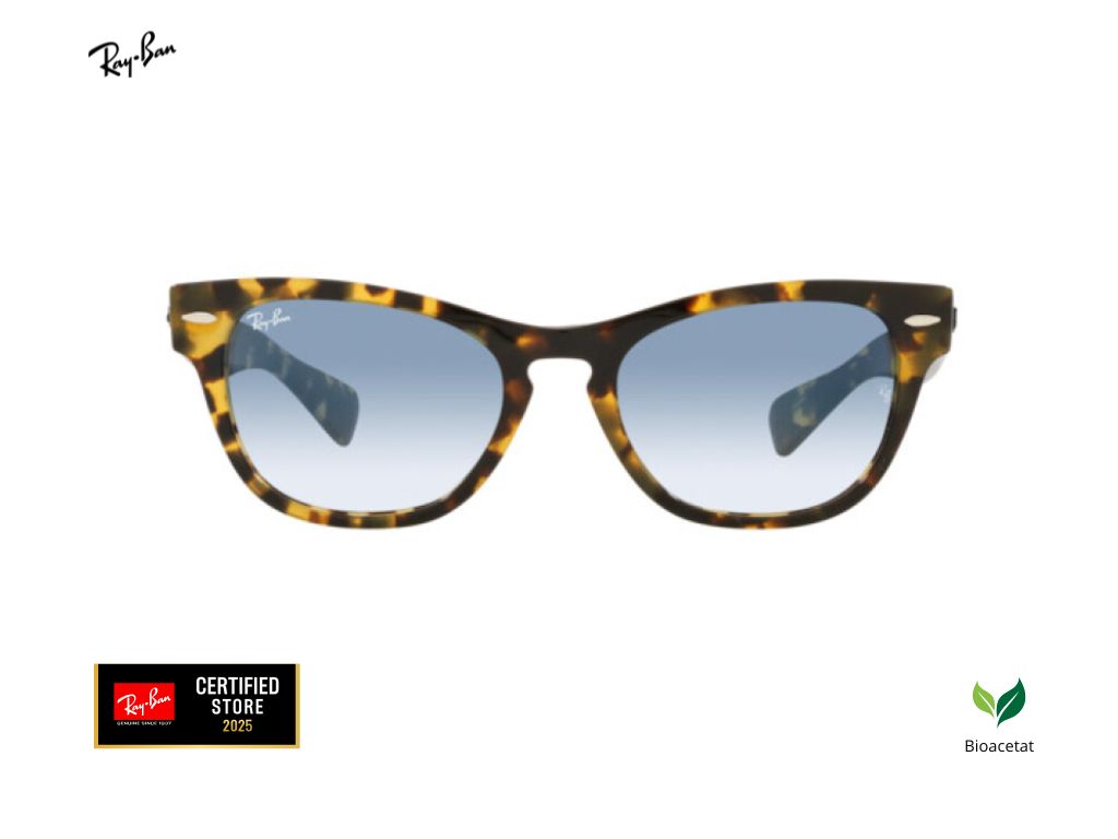 RAY-BAN RB 2201 1332/3F 54-20-145