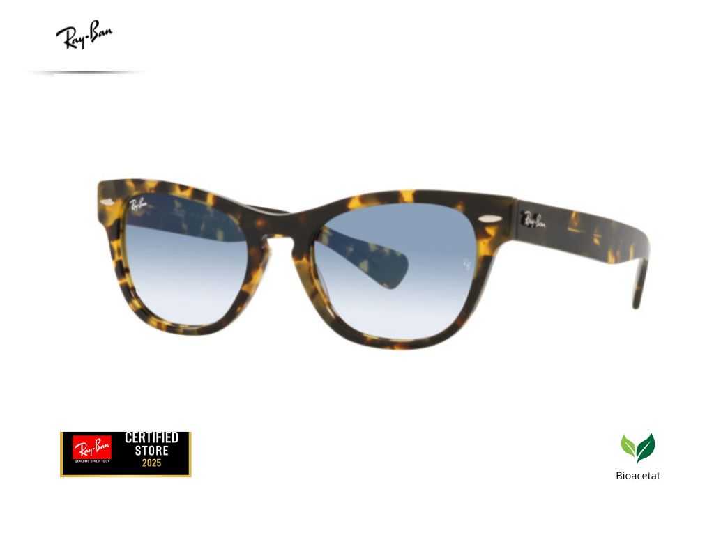 RAY-BAN RB 2201 1332/3F 54-20-145