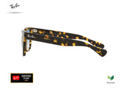 RAY-BAN RB 2201 1332/3F 54-20-145